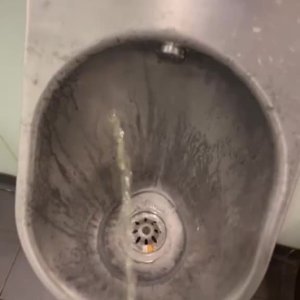 Das doch schnappi