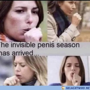 Pneis