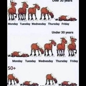 Fridays