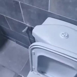 Neulich auf der Toilettentour