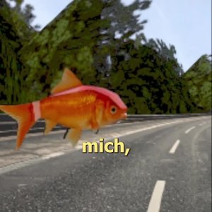 00 WC Frisch