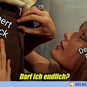Heisse Wahlphase beginnt