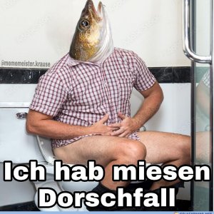 Nach gestrigem Dönergericht