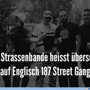Habbders gwusst?
