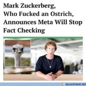 Dann passt das ja