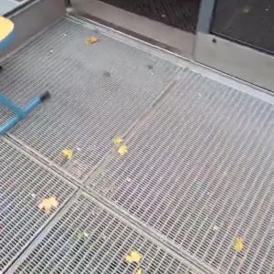 Die haben hier alles vollgekotzt