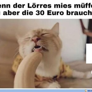 Nicht einfach im Hause Skeletor