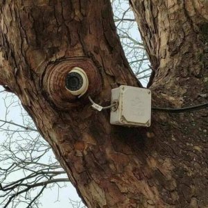 Gut versteckt
