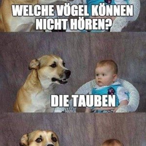 Schon wieder och nöööö