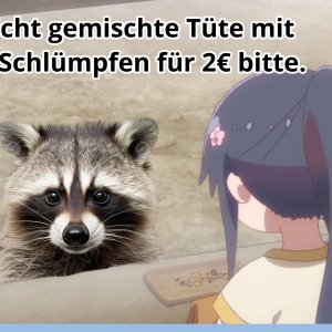 23.02.2025