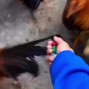 So macht man das