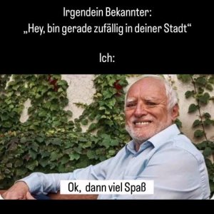 Nerven jedes Mal