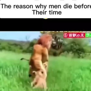 Ganz normale Hobbys