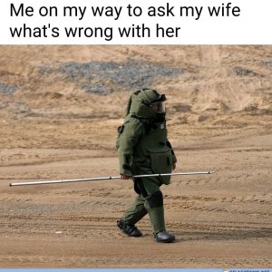 Wife