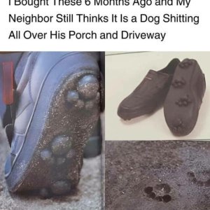 Trick 17