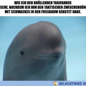 Was zum Geier ist ein taktischer Zwischendöner!?