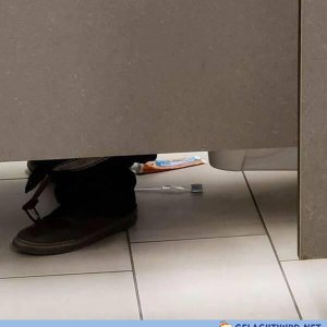 Neulich auf der Toilettentournee
