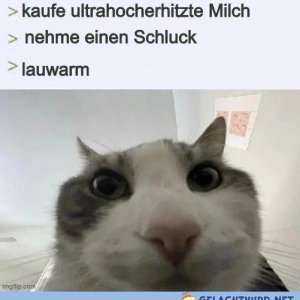 Nicht mal mit Vitamin R