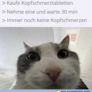 Fol der Betrug
