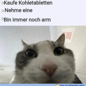 Ode an die Betrogenheit
