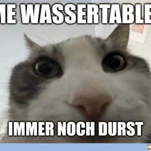 Ist so