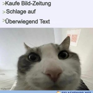 Bild-Zeitung