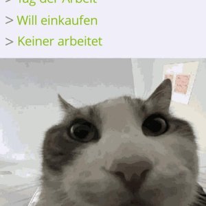 Gewaltige Sauerei