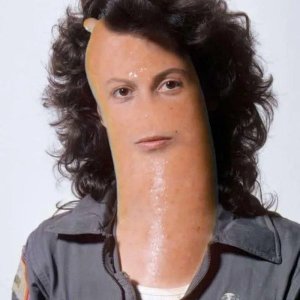 Sigourney-Wiener