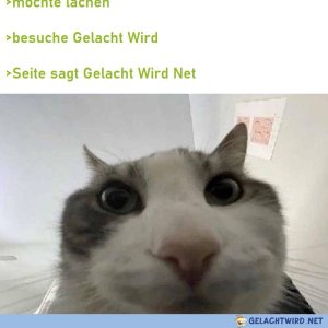 Gelacht Wird Net