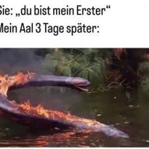 Das gibt Lattenrost