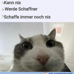 Hatte ich mir anders ausgemalt