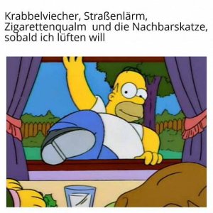 Nie wieder Erdgeschoss