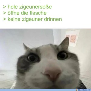 IMG_4753.jpeg
