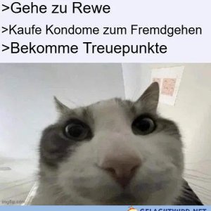 Komplette Verwirrung