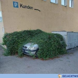 Geheimtipp