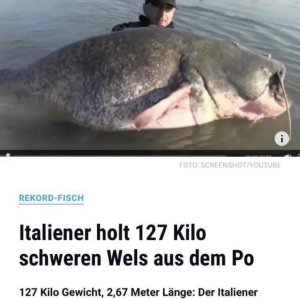Beachtlich!
