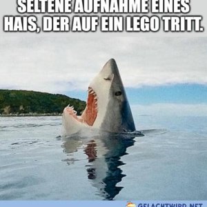 AUER!!!111einself
