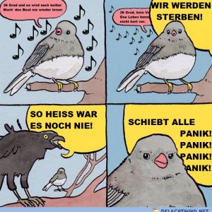 Ab diesem Wochenende wieder