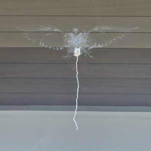 Ausgeschissen