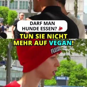 Dumm gegen dümmer