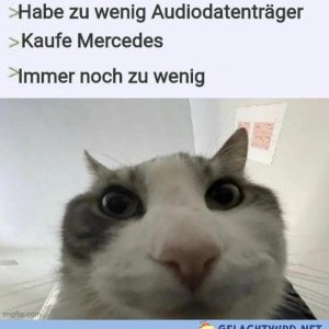 Dachte schon Freddy isst mehr Curry