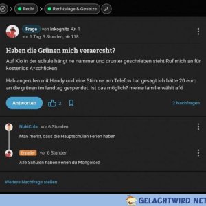 Fragen über Fragen
