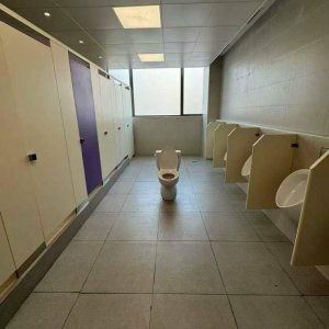 Neulich auf der Toilettentournee