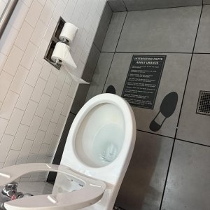 Neulich auf der Toilettentour 3