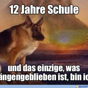 viel gelernt