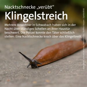 Sommerloch