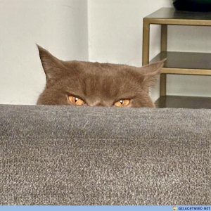 Kleiner Kontrollblick