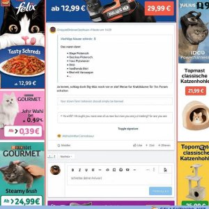 Zukunft der Serverfinanzierung