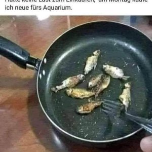 Irgendwas ist ja immer