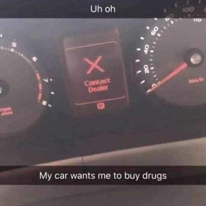 Na wenn das Auto das sagt